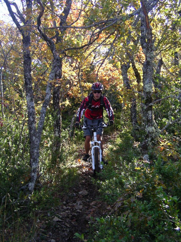 #2 vallon des 3 eves : léo en action vallon des 3 eves : léo en action