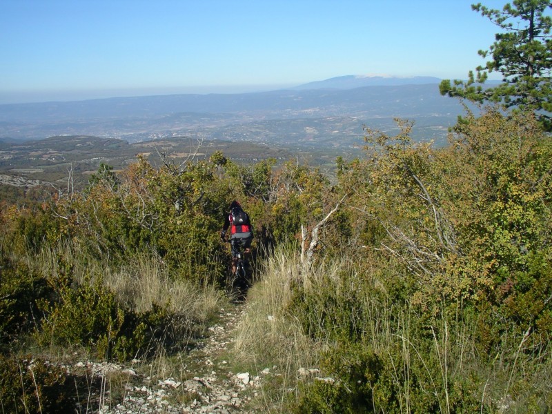#1 sentier des 3 eves : départ du sentier et le ventoux au fond sentier des 3 eves : départ du sentier et le ventoux au fond