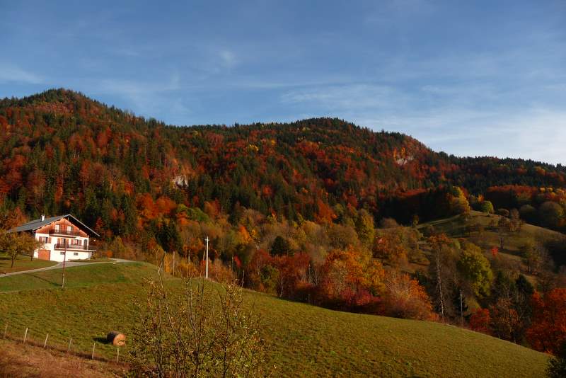 #9 Attrappe-Qui-Peut : Belles couleurs aujourd Attrappe-Qui-Peut : Belles couleurs aujourd'hui