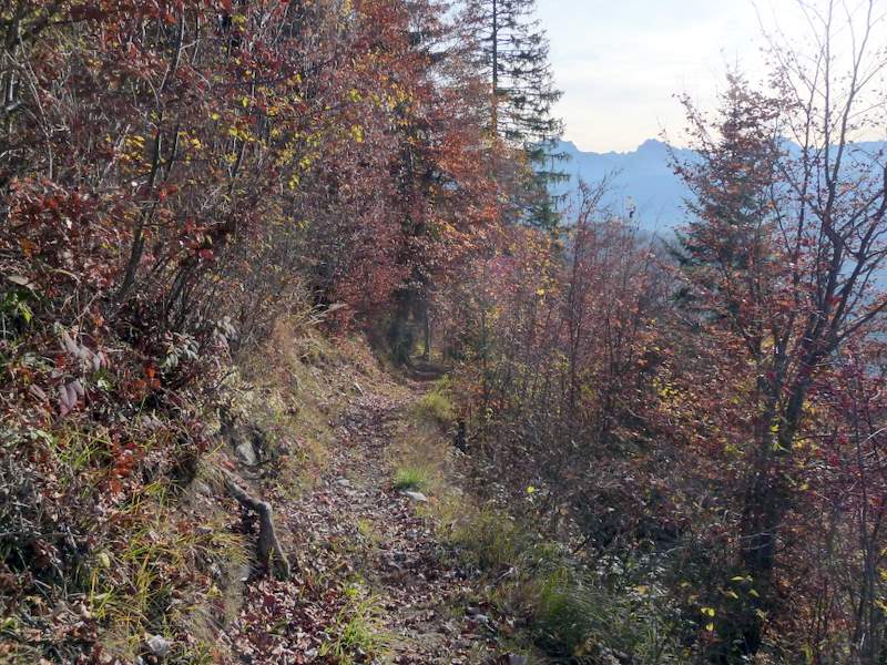 #8 Attrappe-Qui-Peut : Descente sur Serraval Attrappe-Qui-Peut : Descente sur Serraval