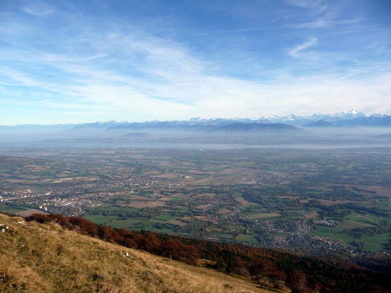 Colomby de Gex : La vue vers le N (Oberland, Alpes Valaisannes, Mt Blanc)