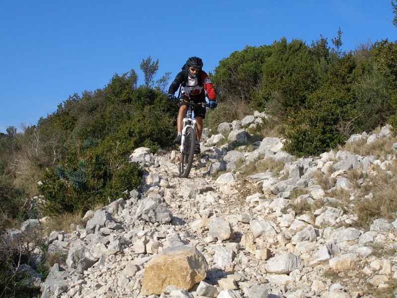 Single lisse : façon Alpilles