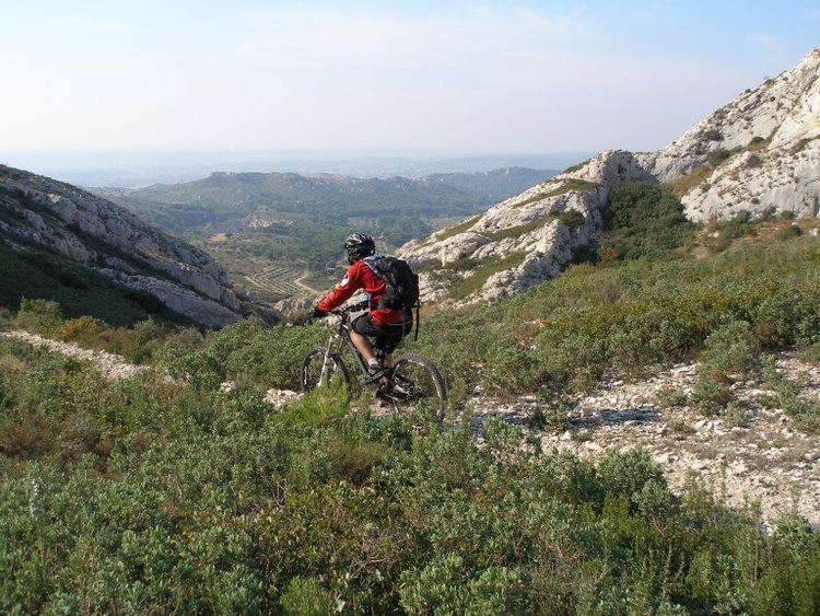 Final des Grands Calans : Bientôt dans les oliviers de la vallée des Baux