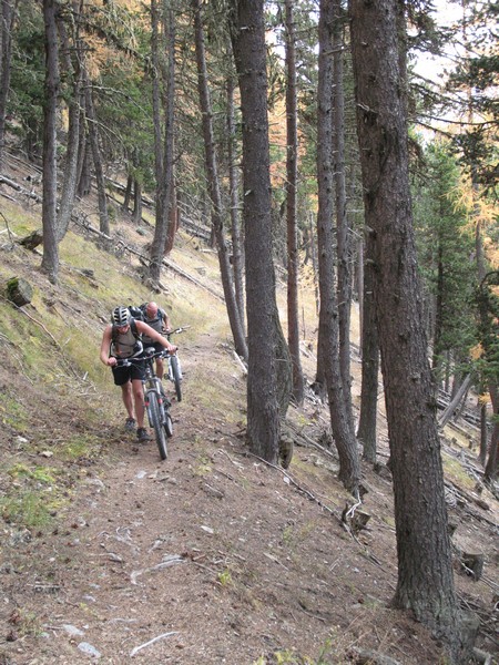 #3 Montée par le sentier : réservée aux "péchus" Montée par le sentier : réservée aux "péchus"