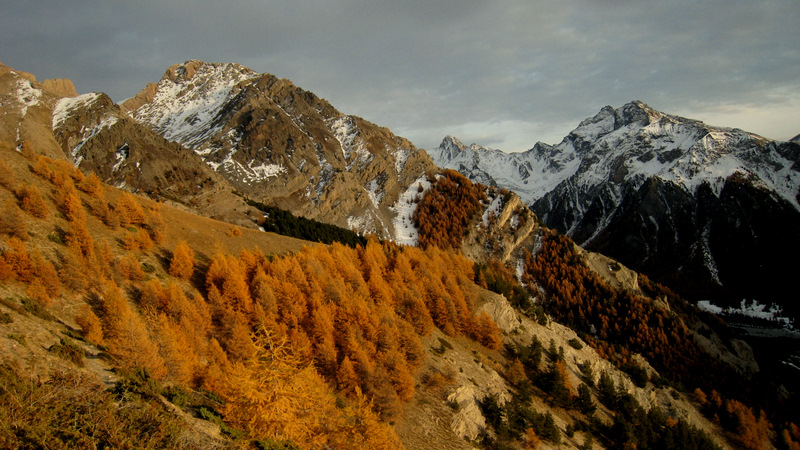 #3 Superbes lumières : le début de la descente est encore loin, dans la langue de neige à gauche de la forêt de mélèze Superbes lumières : le début de la descente est encore loin, dans la langue de neige à gauche de la forêt de mélèze