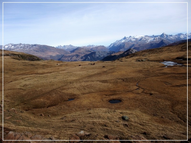#7 Le Plateau : y a même les chevaux! Le Plateau : y a même les chevaux!