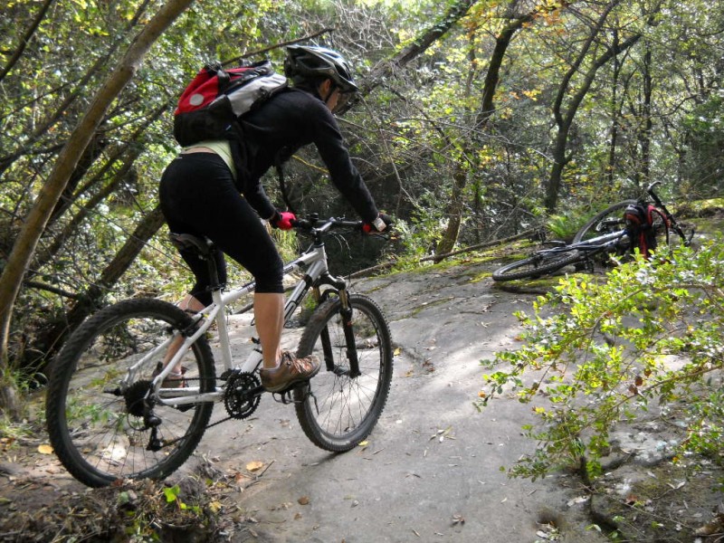 #5 sous bois sur roche : la miss n sous bois sur roche : la miss n'est plus sur le vélo pour longtemps...