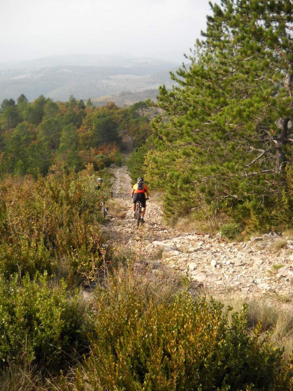 #1 Première descente : Enfin la descente... et elle est très caillouteuse! Première descente : Enfin la descente... et elle est très caillouteuse!