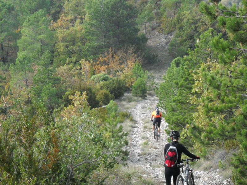 #2 A pied ou à vélo : Certaine n A pied ou à vélo : Certaine n'aime pas les cailloux... mais heureusement qu'elle aime la montée.