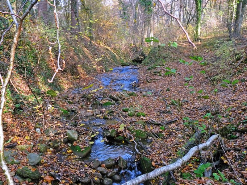 #1 Gorge du Moulin : il reste encore un peu d Gorge du Moulin : il reste encore un peu d'eau.