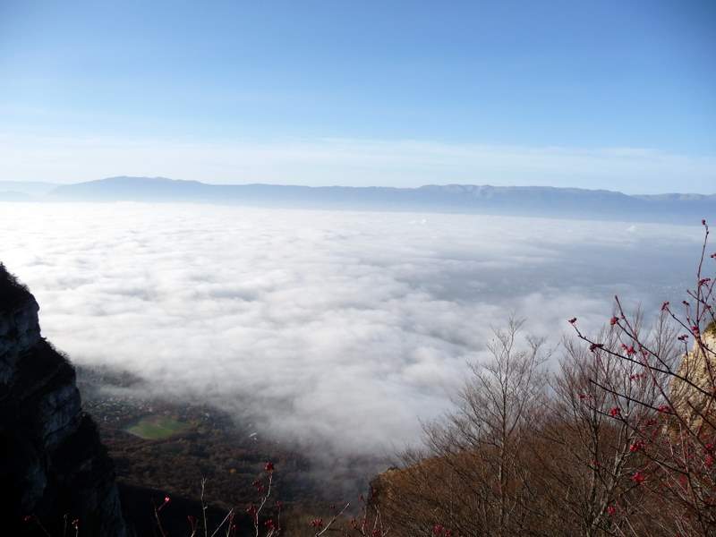 #1 Salève : Stratus lémanique Salève : Stratus lémanique