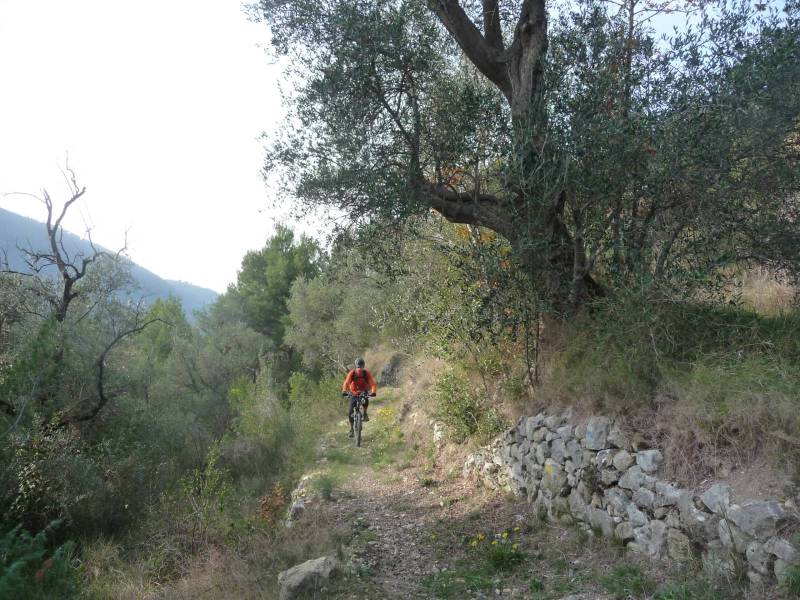 Ancien chemin de Laghet : Serjiane.