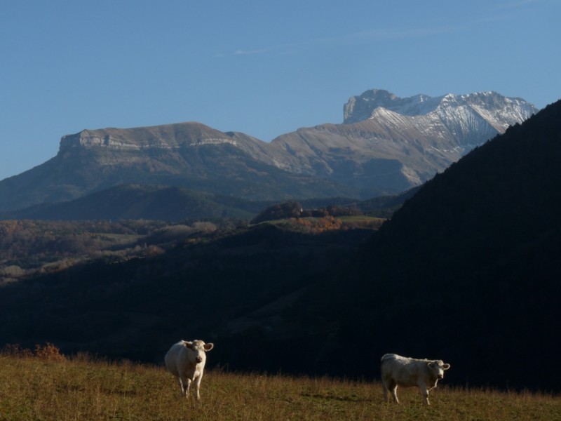 #8 L L'Obiou : et l'Aiguille
