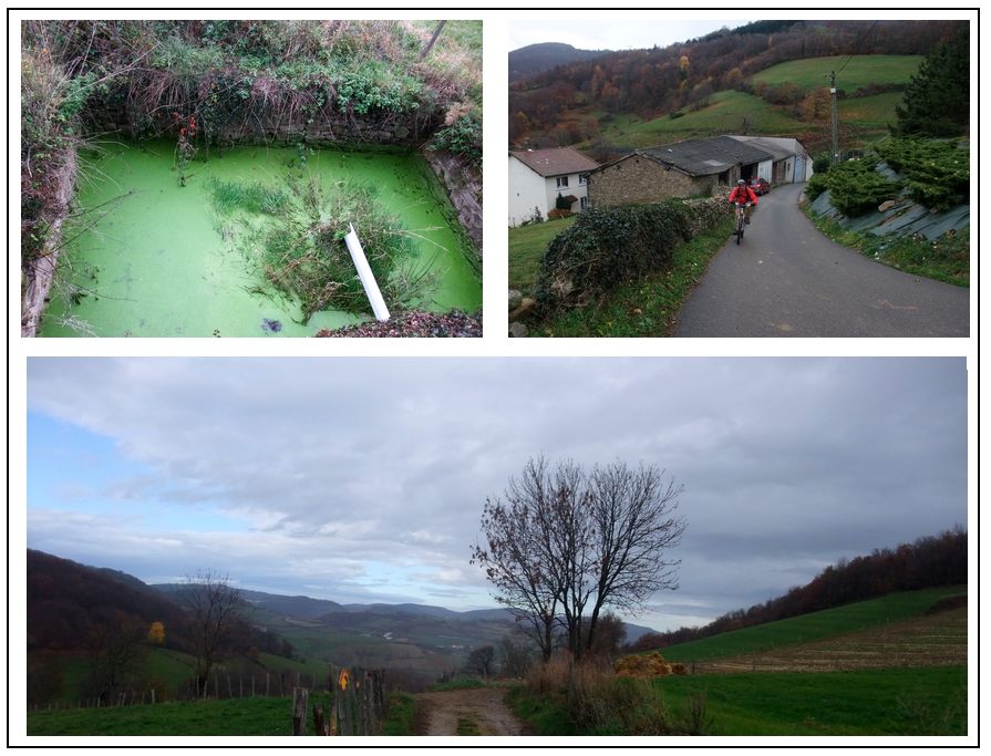 Saint Genoux : Belle bachasse - Un bout de ciel bleu sur le retour