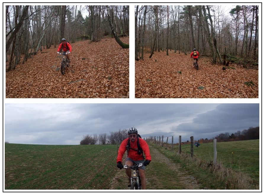 La Cote Saint André : En direction de La Gazillère