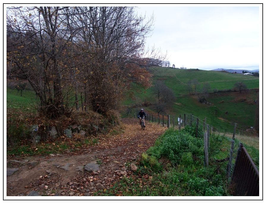 #4 Les Templiers : Bientôt le givre ou la neige! Les Templiers : Bientôt le givre ou la neige!