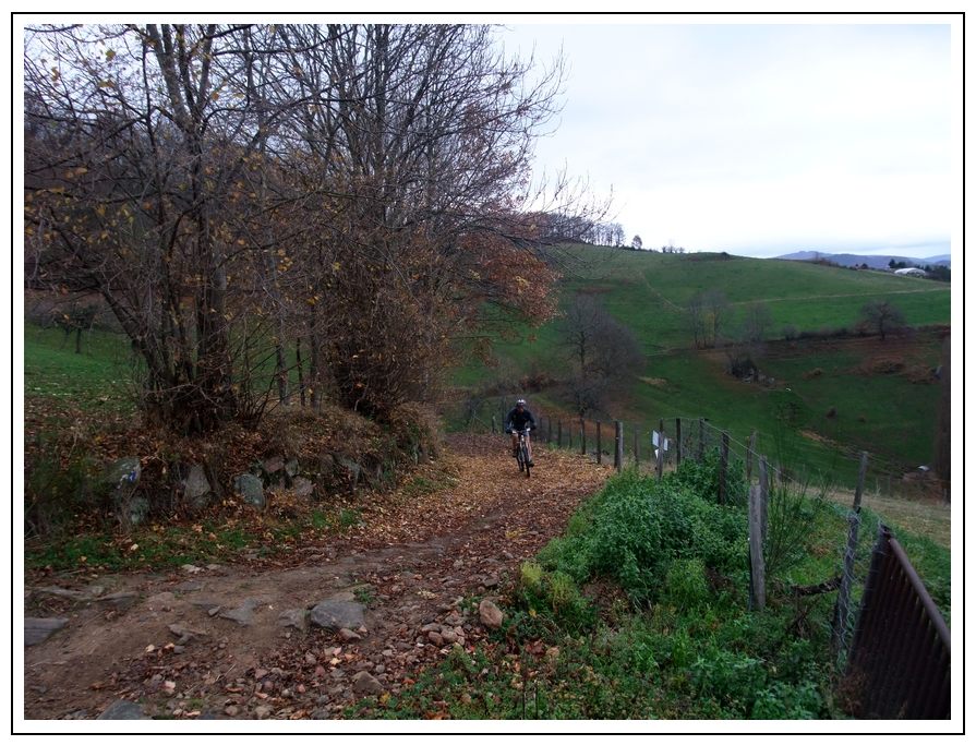 Les Templiers : Bientôt le givre ou la neige!