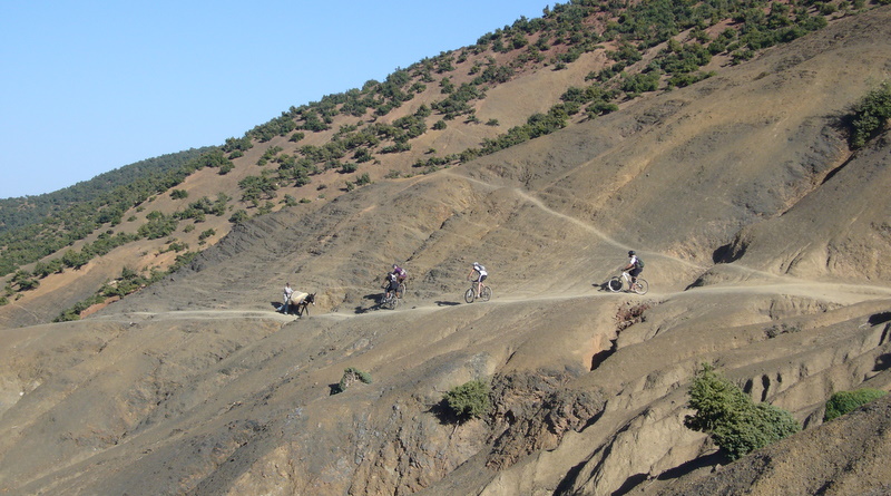 #4 Haut Atlas : Priorité aux mûles Haut Atlas : Priorité aux mûles