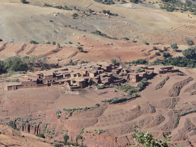 #10 Haut Atlas : les cultures en terrasse Haut Atlas : les cultures en terrasse