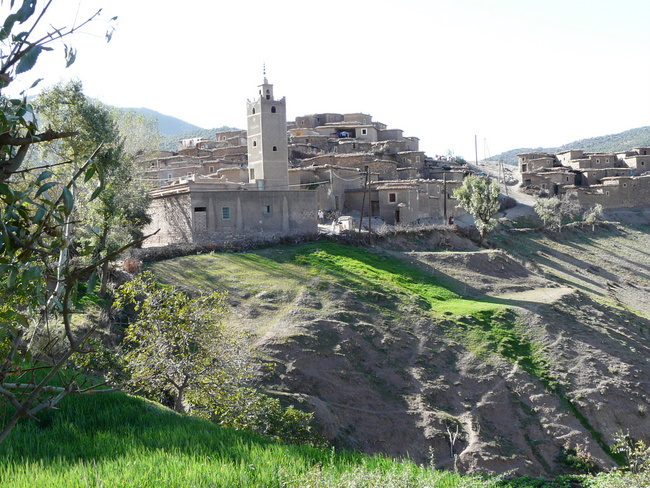 #11 Haut Atlas : L Haut Atlas : L' un des nombreux villages traversés avec quelques cultures
