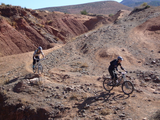 Haut Atlas : Les gazelles