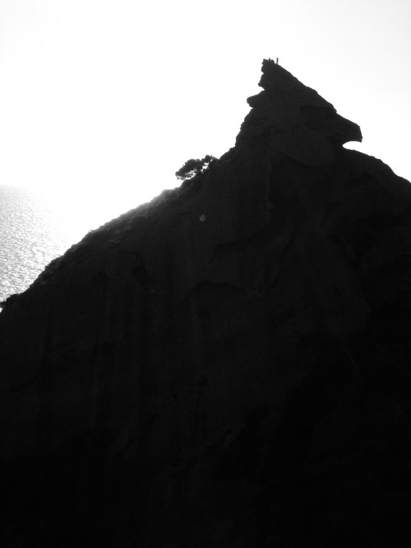 #21 Aigle : Le surveillant de la mer Aigle : Le surveillant de la mer