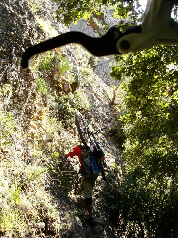 Portage : Dans la forêt vierge