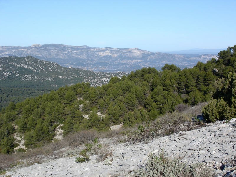 Vers le Nord-Ouest : Le Garlaban et le mont du Marseillais. On aperçoit même le Ventoux.