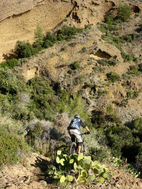 #16 Lucky Luke : Dans les cactus! Lucky Luke : Dans les cactus!