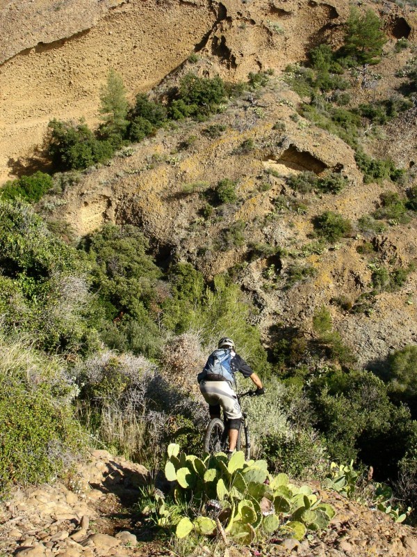 Lucky Luke : Dans les cactus!