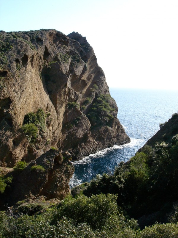 #15 Poudingue : C Poudingue : C'est beau et sauvage!