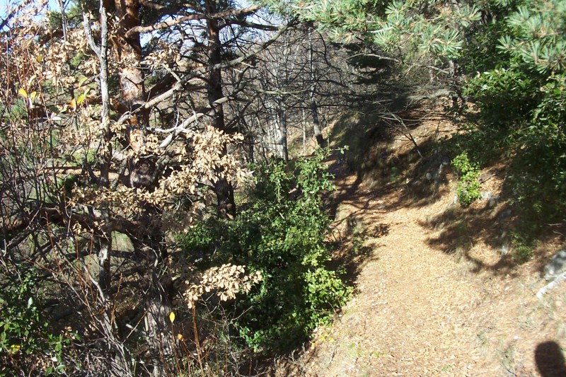 #6 GR 52 : Entre le Col du Razet et Colla Bassa. Je passe enfin au soleil ! GR 52 : Entre le Col du Razet et Colla Bassa. Je passe enfin au soleil !