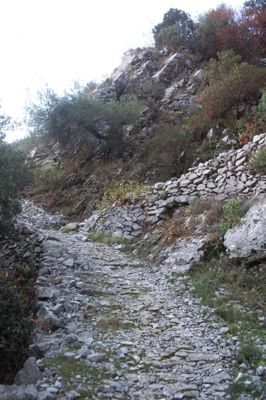 #1 Belle calade : GR 52 - Sentier Botanique Belle calade : GR 52 - Sentier Botanique