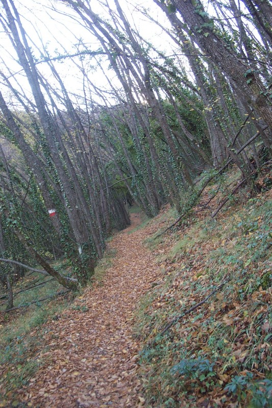#5 GR 52 : Des sections de toute beauté GR 52 : Des sections de toute beauté
