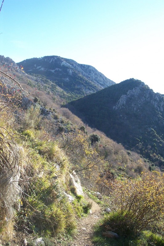#7 GR 52 : Le Grammondo en face, et Colla Bassa à l GR 52 : Le Grammondo en face, et Colla Bassa à l'ombre