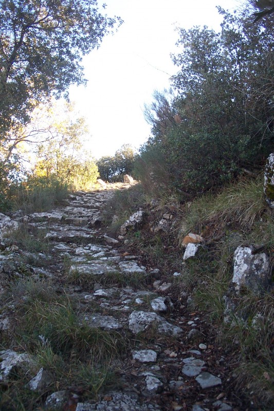#19 Milieu de la DH : Là ça roule bien ! J Milieu de la DH : Là ça roule bien ! J'ai pas eu le courage de shooter dans les champs de mines !