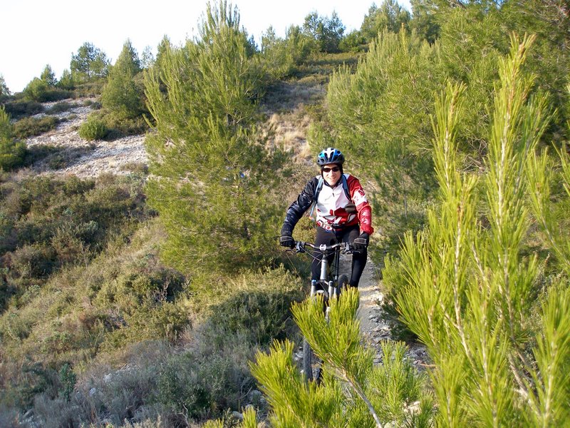 #6 Vallon de Petit : Soleil rasant au départ du vallon Vallon de Petit : Soleil rasant au départ du vallon