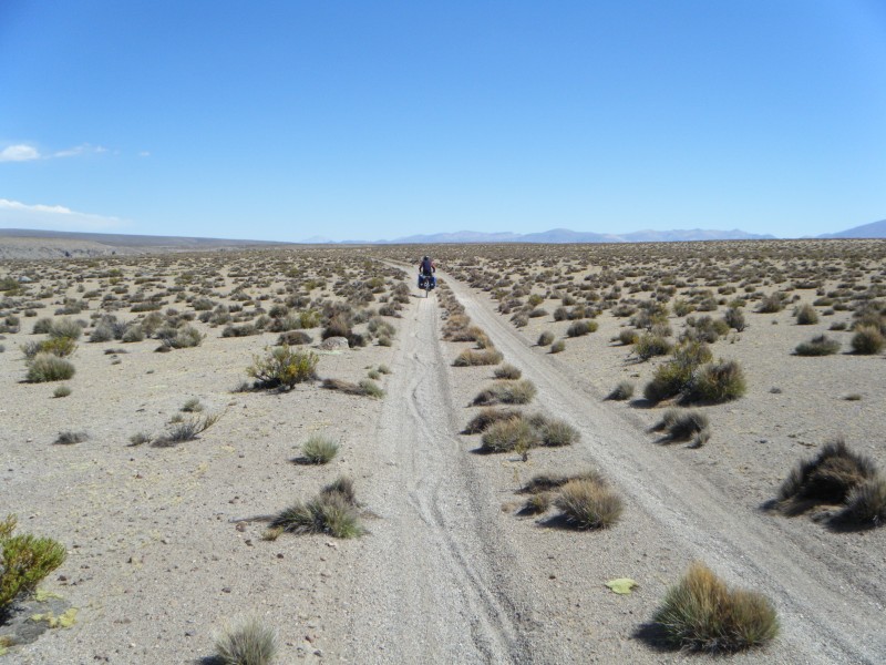 Paysage : Piste sur l'altiplano !