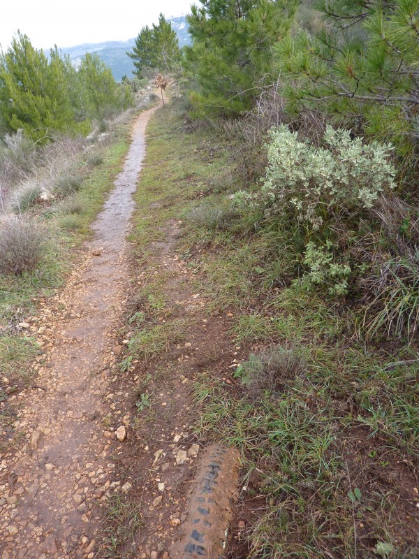#6 Sentier de la Simboula : Hyper gras aujourd Sentier de la Simboula : Hyper gras aujourd'hui !!! Noter mon high-roller version camouflage au bas de la photo ;-)