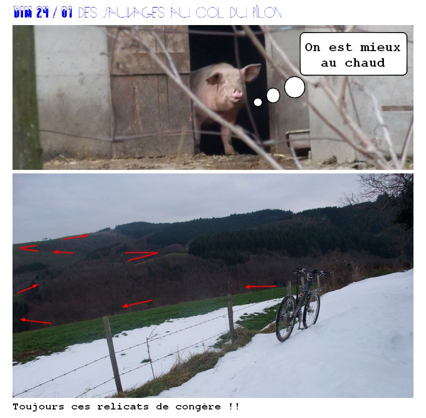 #3 Majournet : Bin mon cochon ! Majournet : Bin mon cochon !