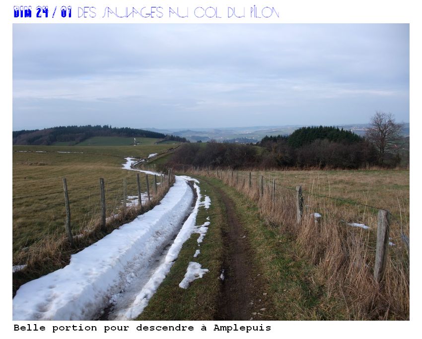 #8 Coté Amplepuis : En plein été c Coté Amplepuis : En plein été c'est top ce coin