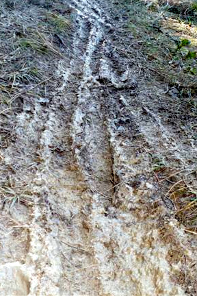 #3 Gras : ..quand je dis gras...c Gras : ..quand je dis gras...c'est gras !