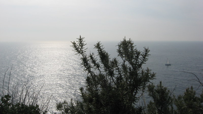#8 Mer de paille : zen cette sortie... Mer de paille : zen cette sortie...