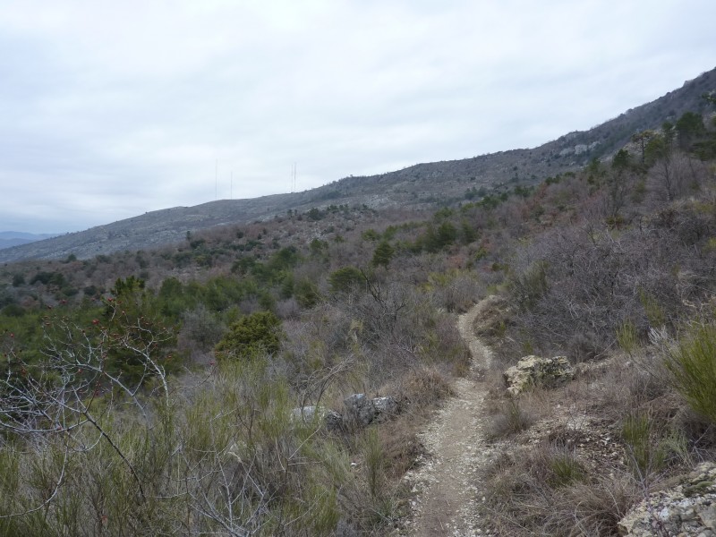 #1 Montée sur le flanc Ouest : Le sentier est encore bien hivernal (pas une once de verdure) Montée sur le flanc Ouest : Le sentier est encore bien hivernal (pas une once de verdure)