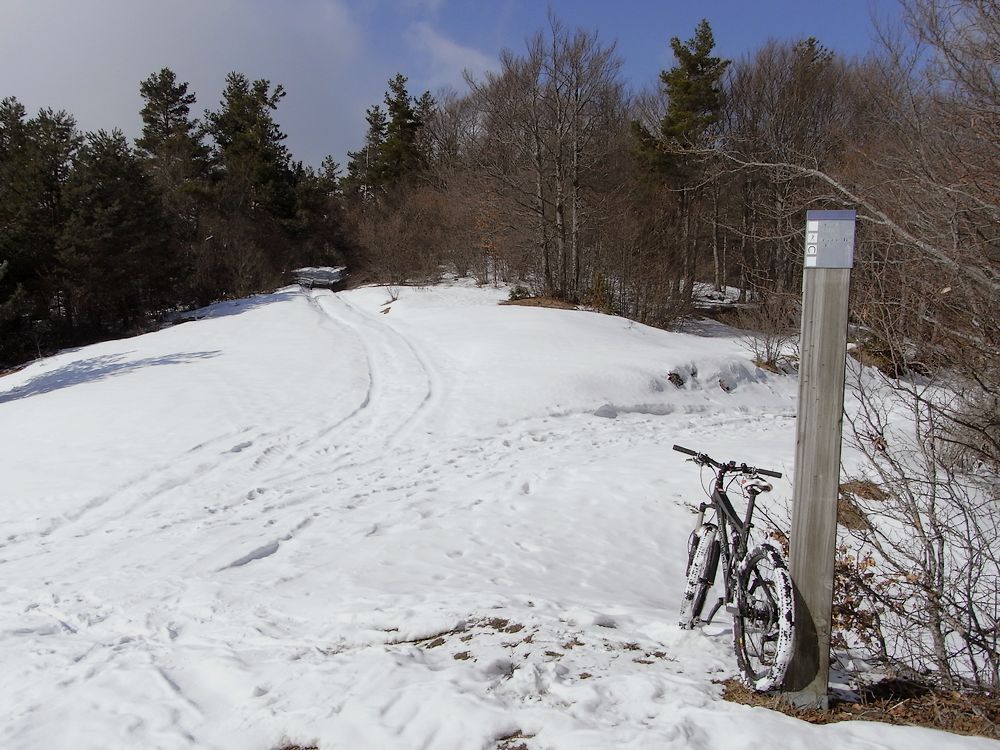 #4 Col du Grand Pertuis : je stoppe ici, les chaussures basses et 20cm de neige, c Col du Grand Pertuis : je stoppe ici, les chaussures basses et 20cm de neige, c'est pas top !