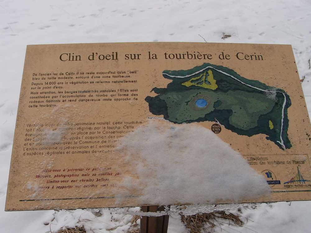#5 détails : explication du site (tourbière) détails : explication du site (tourbière)