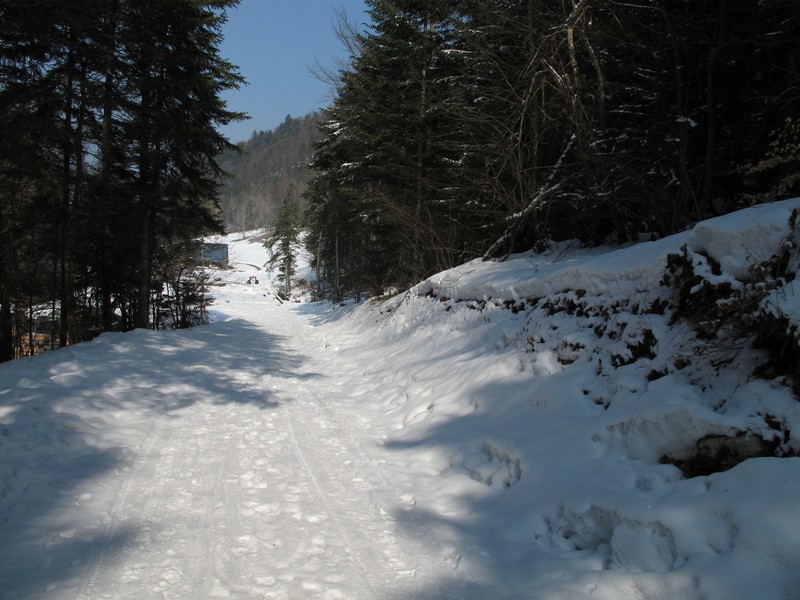 #1 la route : la neige la route : la neige