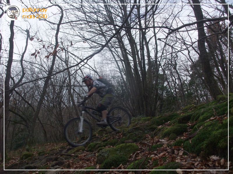 #6 bois de Charnay : yep! bois de Charnay : yep!