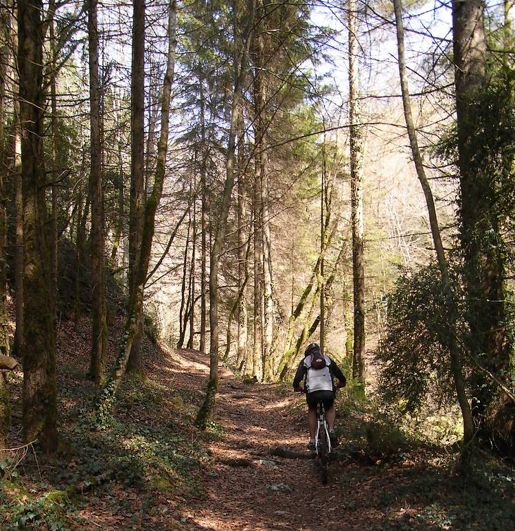 #4 Mieux : terrain plus interessant par ici Mieux : terrain plus interessant par ici