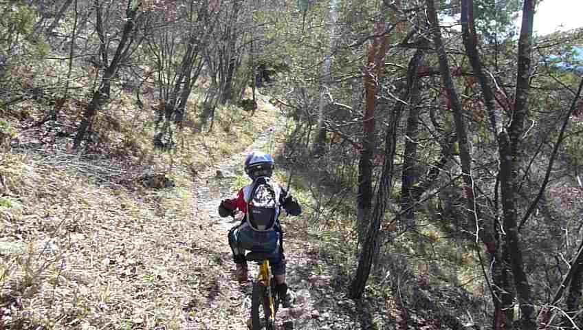 Descente en sous-bois : A partir d'ici cela devient roulant